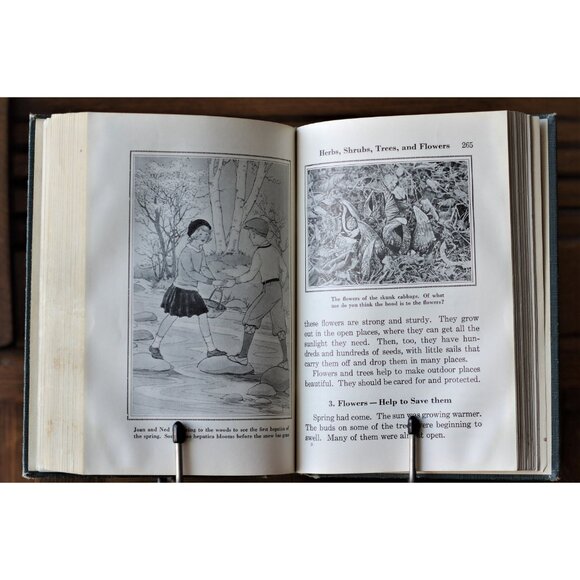 School Book "Pathways In Science V, Learning About Our World" Ginn and Company - Picture 6 of 9